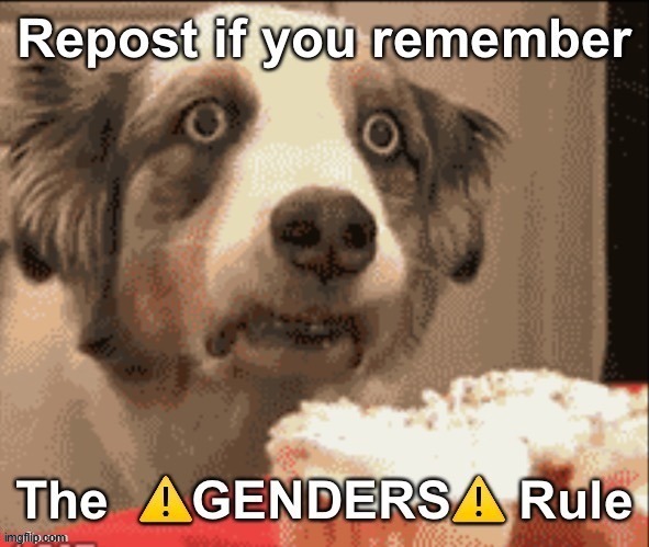 the genders rule was bullshit | made w/ Imgflip meme maker