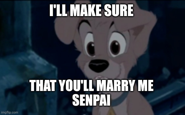 Scamp as a Yandere |  I'LL MAKE SURE; THAT YOU'LL MARRY ME 
SENPAI | image tagged in disney,yandere,furry,marry | made w/ Imgflip meme maker