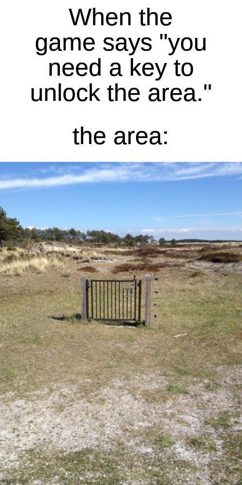video games right now | When the game says "you need a key to unlock the area."; the area: | image tagged in useless fence,video games,gaming | made w/ Imgflip meme maker