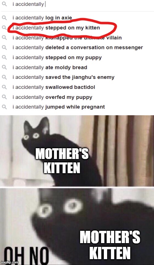 oh no... | MOTHER'S KITTEN; MOTHER'S KITTEN | image tagged in oh no cat,cats,google search | made w/ Imgflip meme maker
