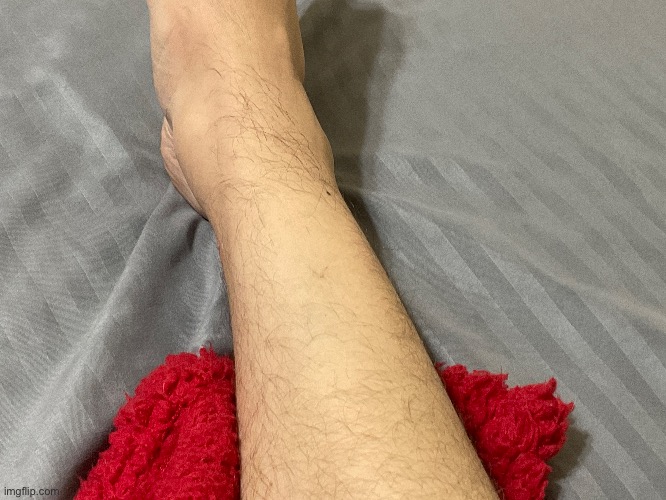 Wax reveal | image tagged in this is where i'd put my trophy if i had one | made w/ Imgflip meme maker