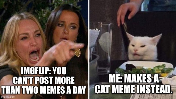 Angry lady cat | IMGFLIP: YOU CAN'T POST MORE THAN TWO MEMES A DAY; ME: MAKES A CAT MEME INSTEAD. | image tagged in angry lady cat | made w/ Imgflip meme maker