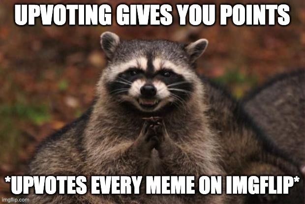 HaC | UPVOTING GIVES YOU POINTS; *UPVOTES EVERY MEME ON IMGFLIP* | image tagged in evil genius racoon | made w/ Imgflip meme maker