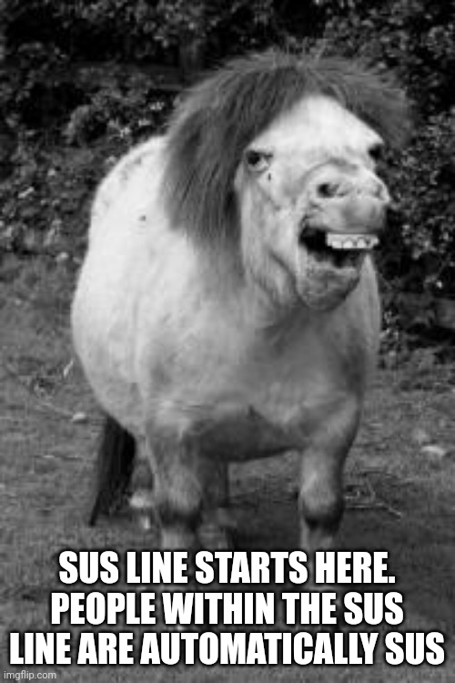 ugly horse | SUS LINE STARTS HERE. PEOPLE WITHIN THE SUS LINE ARE AUTOMATICALLY SUS | image tagged in ugly horse | made w/ Imgflip meme maker