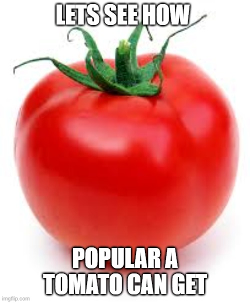 tomato | LETS SEE HOW; POPULAR A TOMATO CAN GET | image tagged in tomato | made w/ Imgflip meme maker