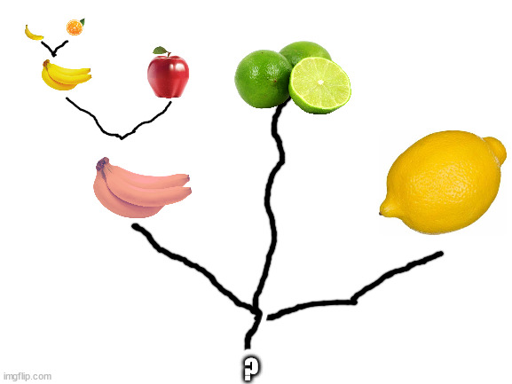 Blank White Template | ? | image tagged in blank white template | made w/ Imgflip meme maker