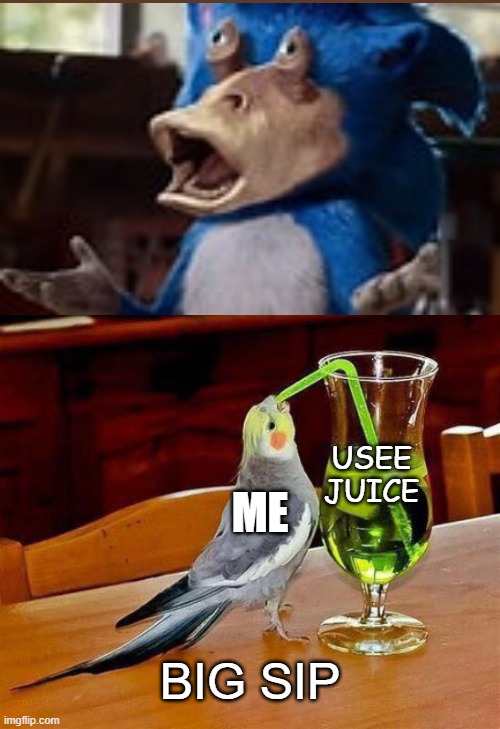 sonic 2 battle of cursed images | ME; USEE JUICE; BIG SIP | image tagged in big sip bird | made w/ Imgflip meme maker