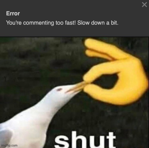sorry I type fast ig? | image tagged in shut | made w/ Imgflip meme maker