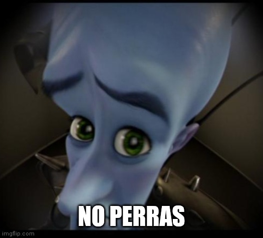 Megamind peeking | NO PERRAS | image tagged in no bitches | made w/ Imgflip meme maker