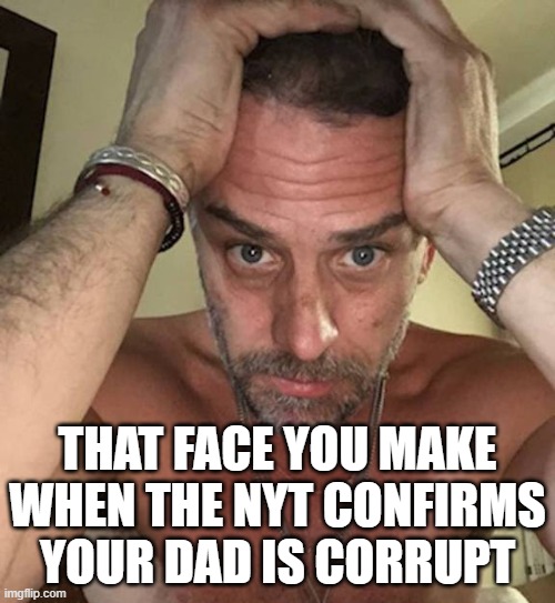 Impeachment now! | THAT FACE YOU MAKE WHEN THE NYT CONFIRMS YOUR DAD IS CORRUPT | made w/ Imgflip meme maker