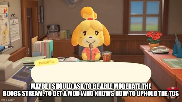 imma ask one of their owners | MAYBE I SHOULD ASK TO BE ABLE MODERATE THE BOOBS STREAM. TO GET A MOD WHO KNOWS HOW TO UPHOLD THE TOS | image tagged in isabelle animal crossing announcement | made w/ Imgflip meme maker