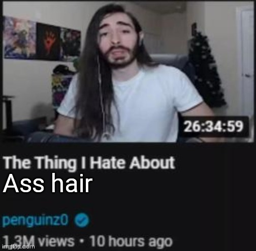 Kinda like the beard but at the ass | Ass hair | image tagged in the thing i hate about ___ | made w/ Imgflip meme maker