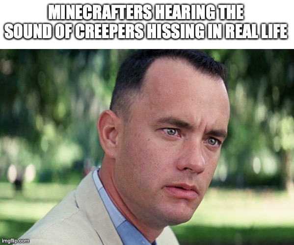 it sucks! | MINECRAFTERS HEARING THE SOUND OF CREEPERS HISSING IN REAL LIFE | image tagged in memes,and just like that,funny,minecraft,fun | made w/ Imgflip meme maker