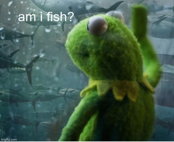 what if you are? | image tagged in kermit the frog,fish | made w/ Imgflip meme maker
