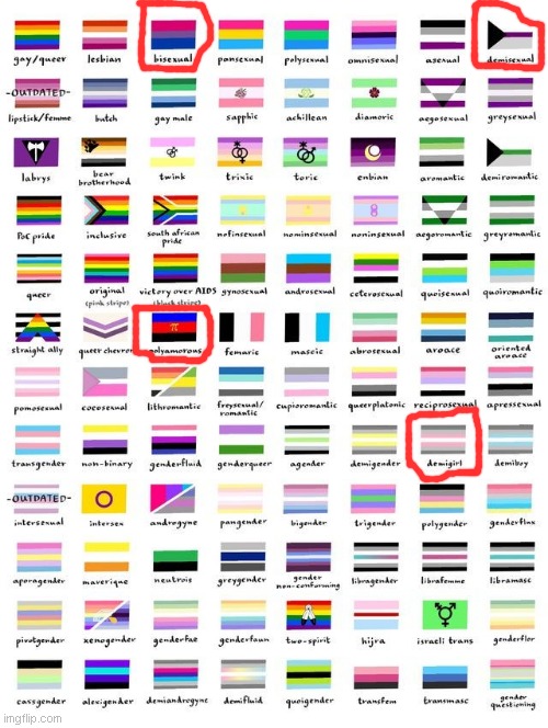 take the template and circle your own identity/identities! | image tagged in so many pride flags,i'm biromantic but there ain't a flag for that yet | made w/ Imgflip meme maker