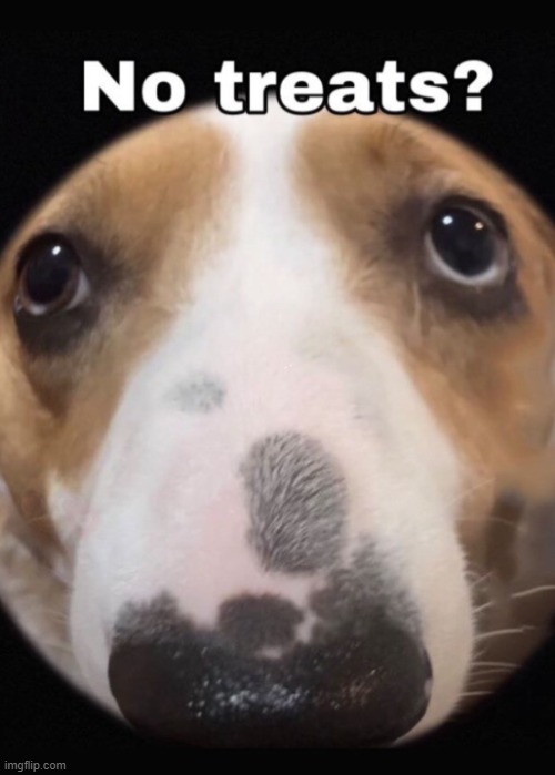 No treats? | image tagged in no treats | made w/ Imgflip meme maker