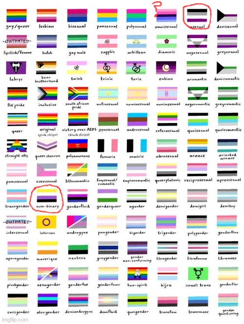 im questioning being omni-romantic | image tagged in so many pride flags | made w/ Imgflip meme maker