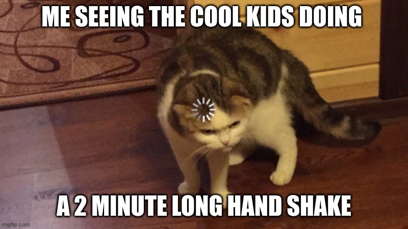 ME SEEING THE COOL KIDS DOING; A 2 MINUTE LONG HAND SHAKE | image tagged in cats | made w/ Imgflip meme maker