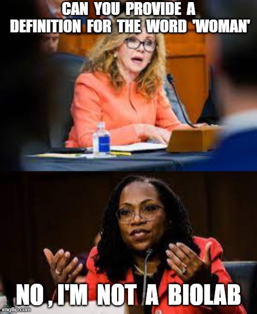 CAN  YOU  PROVIDE  A  DEFINITION  FOR  THE  WORD  'WOMAN'; NO , I'M  NOT  A  BIOLAB | image tagged in ketanji brown jackson,marsha blackburn,supreme court,nomination,confirmation hearings | made w/ Imgflip meme maker