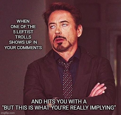 We have all made that face | WHEN ONE OF THE 5 LEFTIST TROLLS SHOWS UP IN YOUR COMMENTS; AND HITS YOU WITH A
"BUT THIS IS WHAT YOU'RE REALLY IMPLYING" | image tagged in robert downey jr annoyed | made w/ Imgflip meme maker