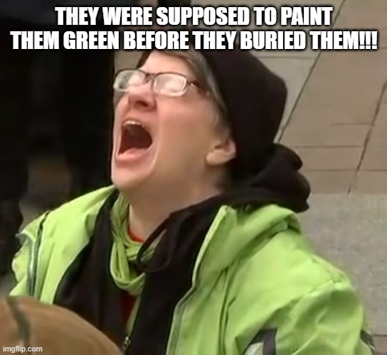 snowflake | THEY WERE SUPPOSED TO PAINT THEM GREEN BEFORE THEY BURIED THEM!!! | image tagged in snowflake | made w/ Imgflip meme maker