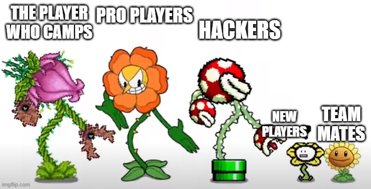 these players... | THE PLAYER WHO CAMPS; PRO PLAYERS; HACKERS; TEAM MATES; NEW PLAYERS | image tagged in flower dance | made w/ Imgflip meme maker