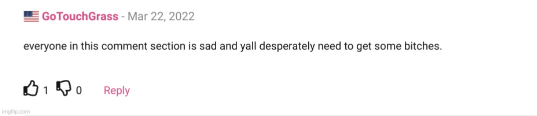 bitches | made w/ Imgflip meme maker