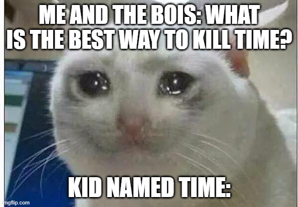 kid named time | ME AND THE BOIS: WHAT IS THE BEST WAY TO KILL TIME? KID NAMED TIME: | image tagged in crying cat | made w/ Imgflip meme maker