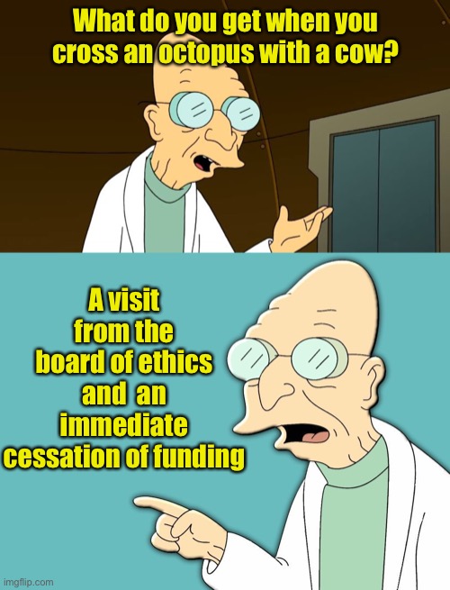 Riddle me this | What do you get when you cross an octopus with a cow? A visit from the board of ethics and  an immediate cessation of funding | image tagged in futurama,professor farnsworth,ethics,bad pun | made w/ Imgflip meme maker