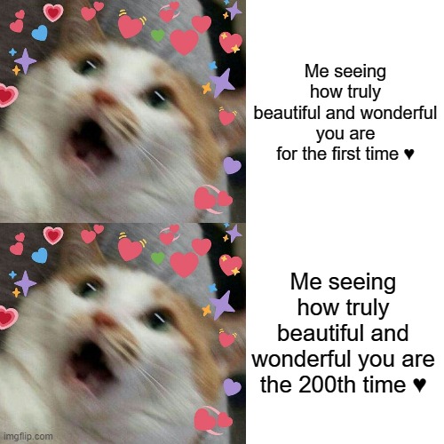 You'll always be more perfect than you could ever know <333 | Me seeing how truly beautiful and wonderful you are for the first time ♥; Me seeing how truly beautiful and wonderful you are the 200th time ♥ | image tagged in memes,cats,i love you,wait a second this is wholesome content,wholesome,wholesome 100 | made w/ Imgflip meme maker