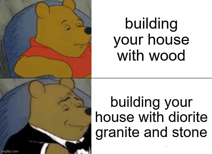 minecraft | building your house with wood; building your house with diorite granite and stone | image tagged in memes,tuxedo winnie the pooh | made w/ Imgflip meme maker