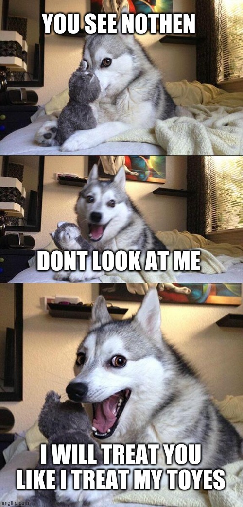 Bad Pun Dog | YOU SEE NOTHEN; DONT LOOK AT ME; I WILL TREAT YOU LIKE I TREAT MY TOYES | image tagged in memes,bad pun dog | made w/ Imgflip meme maker
