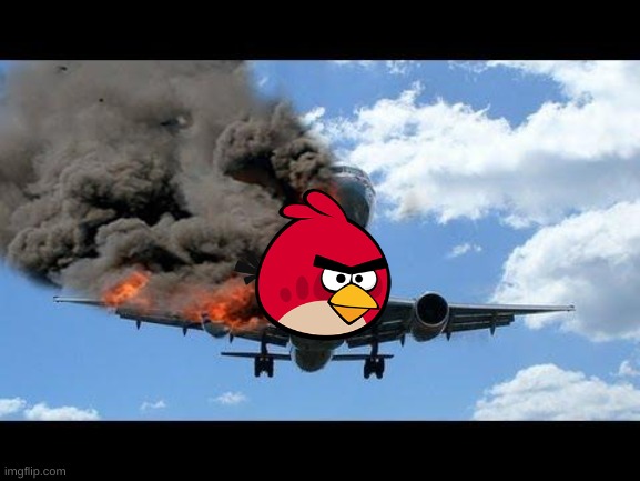 plane crash | image tagged in plane crash | made w/ Imgflip meme maker