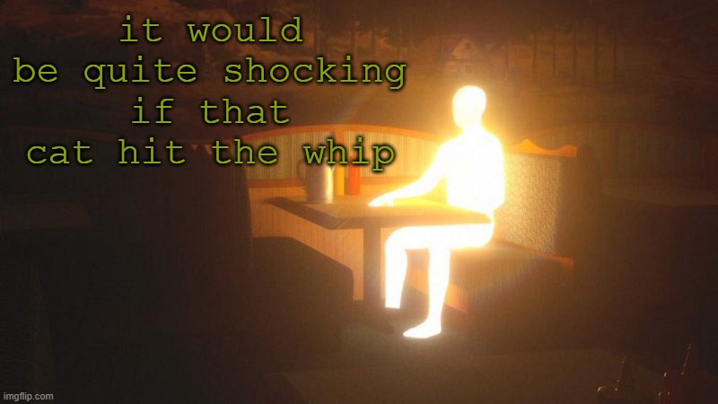 Glowing Guy | it would be quite shocking if that cat hit the whip | image tagged in glowing guy | made w/ Imgflip meme maker