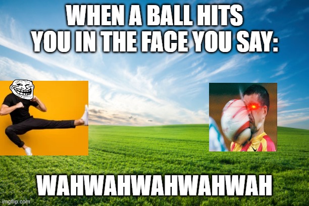 when you get kicked in the face |  WHEN A BALL HITS YOU IN THE FACE YOU SAY:; WAHWAHWAHWAHWAH | image tagged in funny memes | made w/ Imgflip meme maker