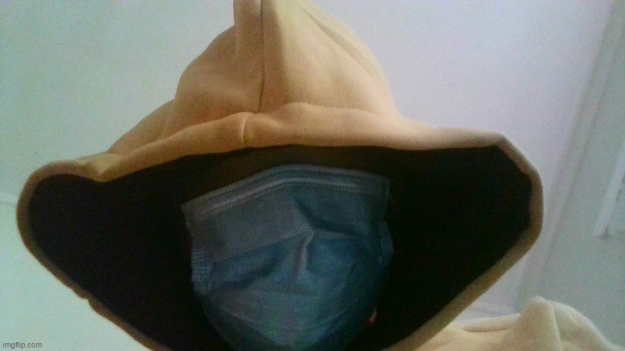 the fool | made w/ Imgflip meme maker