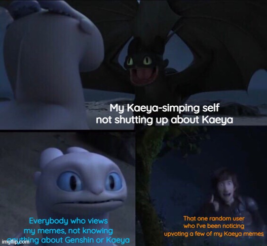 Thank you, random citizen! | My Kaeya-simping self not shutting up about Kaeya; Everybody who views my memes, not knowing anything about Genshin or Kaeya; That one random user who I've been noticing upvoting a few of my Kaeya memes | image tagged in how to train your dragon 3,genshin impact | made w/ Imgflip meme maker