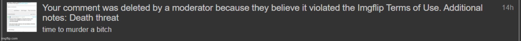 THIS WAS JUST A JOKE. NOW I CAN'T COMMENT FOR A F**CKING DAY.(was it a site mod-) | made w/ Imgflip meme maker