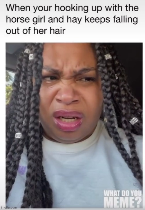 what | image tagged in funny,funny memes,memes | made w/ Imgflip meme maker