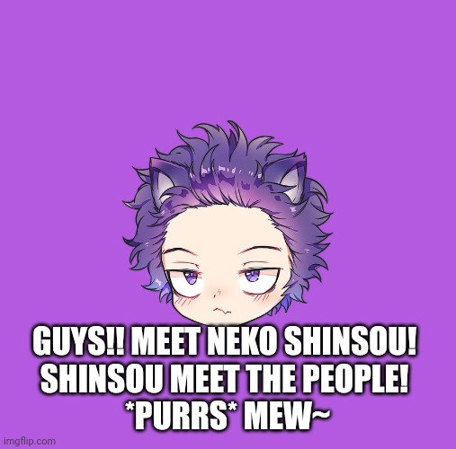 Mew~ | GUYS!! MEET NEKO SHINSOU! 
SHINSOU MEET THE PEOPLE! 
*PURRS* MEW~ | image tagged in anime | made w/ Imgflip meme maker