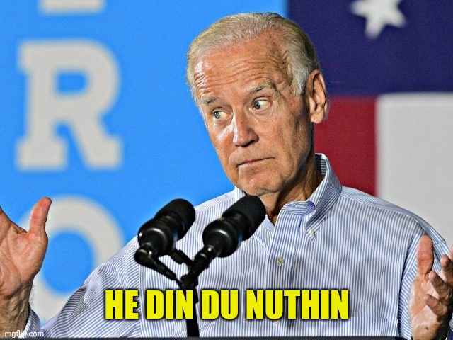 Joe Biden shrug | HE DIN DU NUTHIN | image tagged in joe biden shrug | made w/ Imgflip meme maker