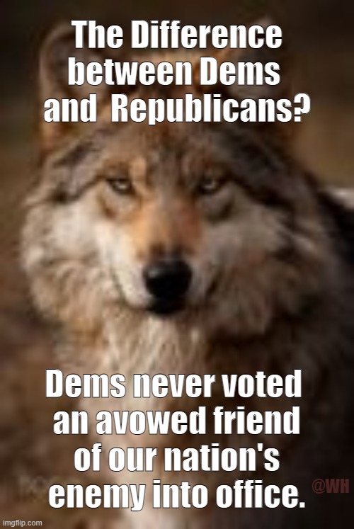 The Difference? | The Difference
between Dems 
and  Republicans? Dems never voted 
an avowed friend
of our nation's
enemy into office. @WH | image tagged in democrats,republicans,trump,putin | made w/ Imgflip meme maker