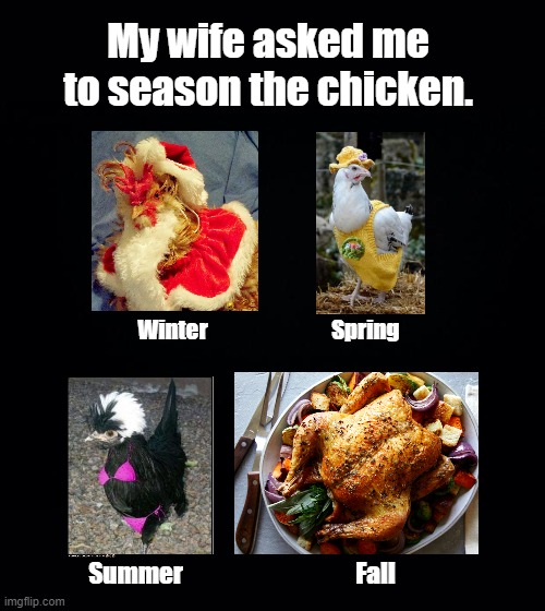 Seasoned Chicken | My wife asked me to season the chicken. Winter                            Spring; Summer                                    Fall | image tagged in black background,seasons,chicken,pun | made w/ Imgflip meme maker