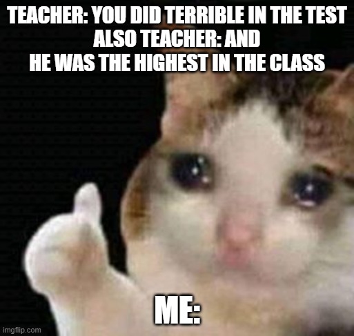 you did bad | TEACHER: YOU DID TERRIBLE IN THE TEST
ALSO TEACHER: AND HE WAS THE HIGHEST IN THE CLASS; ME: | image tagged in sad thumbs up cat | made w/ Imgflip meme maker