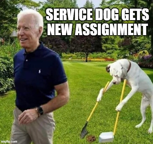 A New Service Dog For Joey | SERVICE DOG GETS

NEW ASSIGNMENT | image tagged in dog,scoop,joe,biden,accident | made w/ Imgflip meme maker