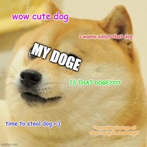 Doge | wow cute dog; i wanna adopt that dog; MY DOGE; IS THAT DOGE???? time to steal dog >:); *recording footage of blue trying to steal doge* | image tagged in memes,doge | made w/ Imgflip meme maker