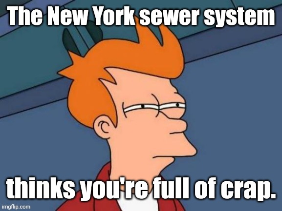 Fry is not sure... | The New York sewer system thinks you're full of crap. | image tagged in fry is not sure | made w/ Imgflip meme maker