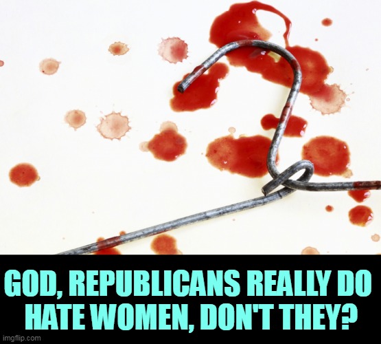 Sperm Supremacists say women are the package fetuses come in. Fetuses are only important until they're born, then.... | GOD, REPUBLICANS REALLY DO 
HATE WOMEN, DON'T THEY? | image tagged in republicans,hate,women,love,fetus | made w/ Imgflip meme maker