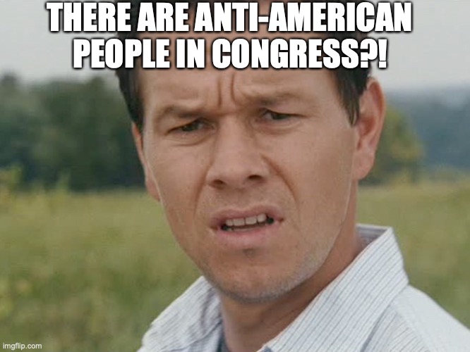 Huh  | THERE ARE ANTI-AMERICAN PEOPLE IN CONGRESS?! | image tagged in huh | made w/ Imgflip meme maker