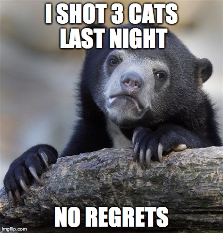 Confession Bear | I SHOT 3 CATS LAST NIGHT NO REGRETS | image tagged in memes,confession bear | made w/ Imgflip meme maker